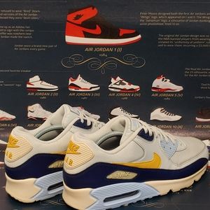 Air max 90 essential Royal tint